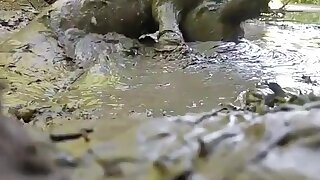 NUDE MAN PLAYING IN MUD HOLE