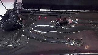 V11 VV11 (PP TRAINING)