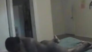 Rock Rockafella and Sincere Luv.m4v